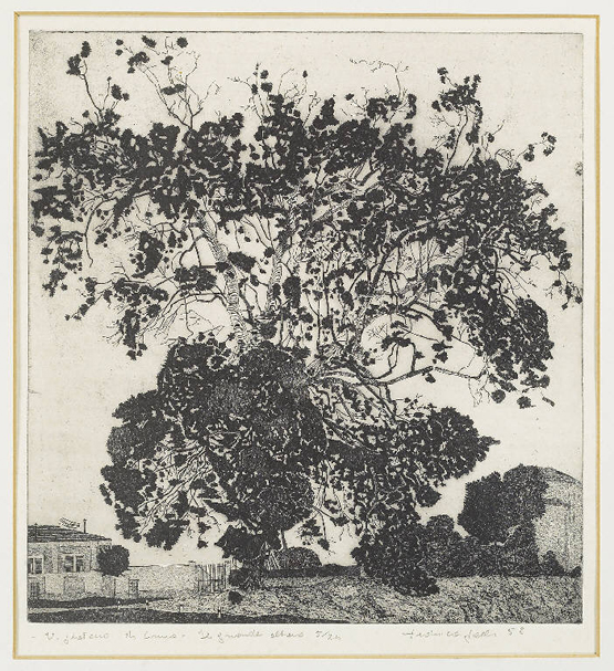 Galli Federica - Paesaggio con grande albero