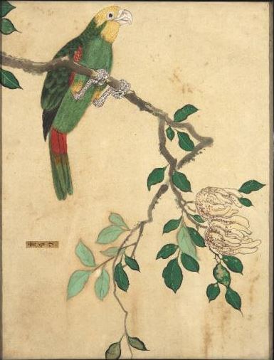 Fiori e uccelli - manifattura giapponese