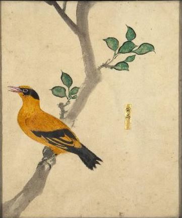Fiori e uccelli manifattura giapponese