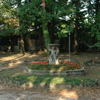 Biassono, Villa Verri, veduta della fontana e del gruppo scultoreo" 