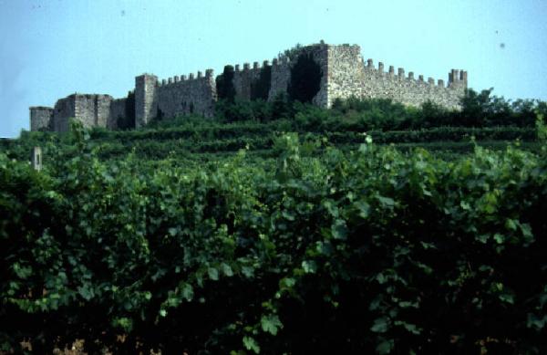 Borgo murato - complesso