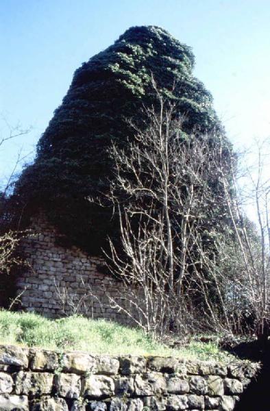 Torre di Bagnaria