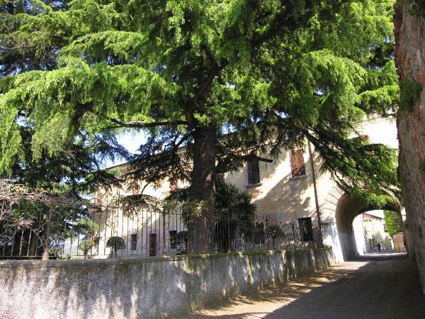 Villa Ambrosini