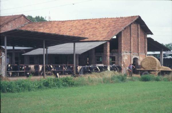 Cascina Fornace Mariani - complesso