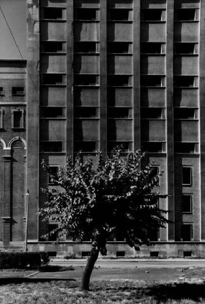 Milano - edificio - facciata - albero