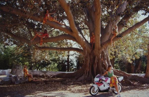 Moto Gilera - ragazze su un albero