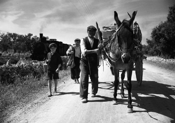 Italia del Sud. Puglia - uomo conduce carro trainato da un mulo - bambini