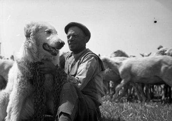 Italia del Sud. Puglia - pastore - cane da pastore