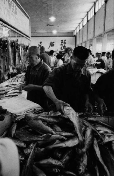 Cina - fabbrica di conservazione del pesce - operai al lavoro