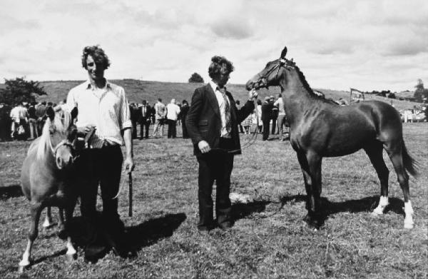 Irlanda - contea di Wexford - festa campestre - giovani irlandesi con cavalli