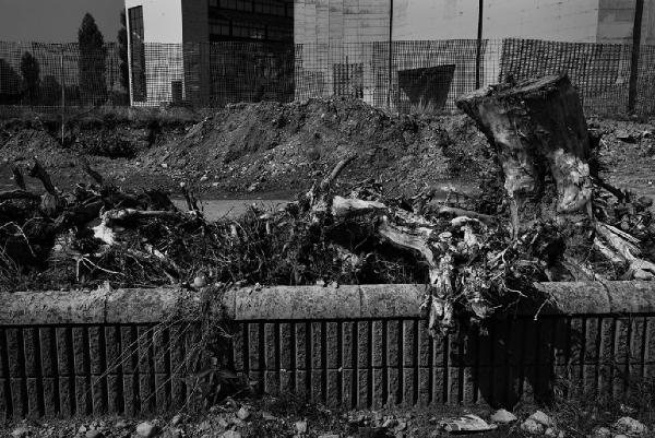 Tramsformazione. Milano - Cinisello Balsamo - Cantiere della metrotranvia - Detriti di scavo e tronchi ai margini del cantiere - Muretto