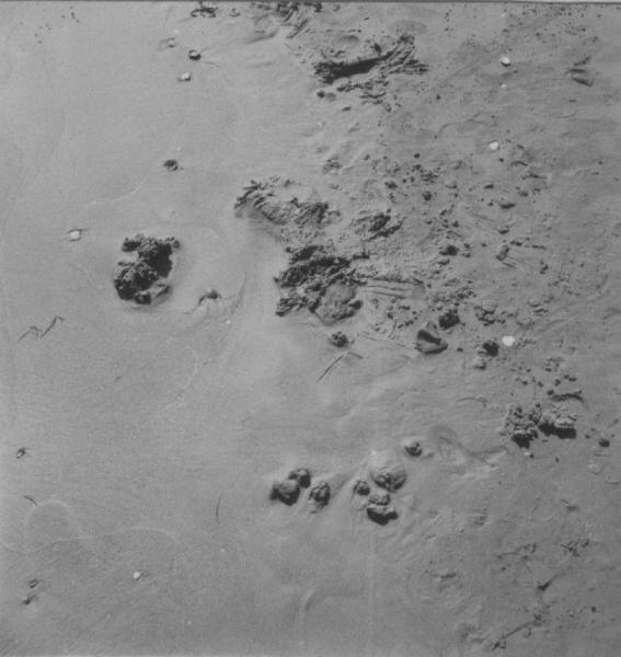 Composizione astratta - Impronte sulla sabbia