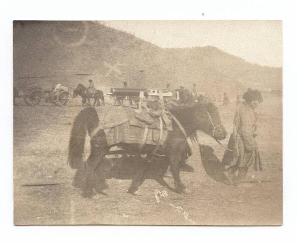 Guerra russo-giapponese - Russia - Manciuria - Mukden - Pony caricato con una mitragliera