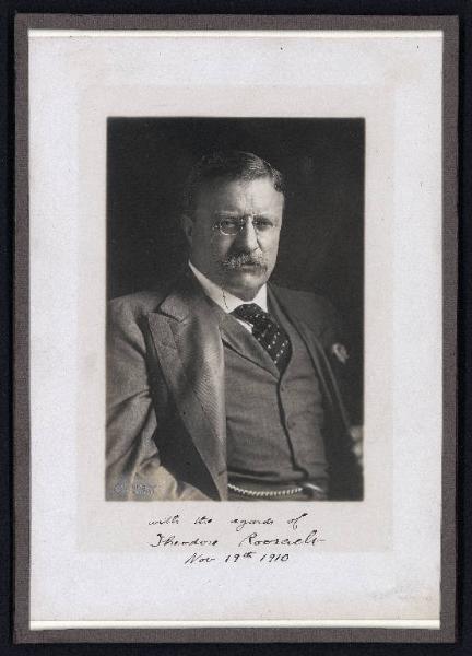 Ritratto maschile - Theodore Roosevelt presidente degli Stati Uniti d'America - Stati Uniti d'America - Washington D. C.