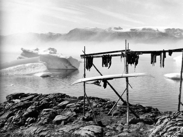 Groenlandia occidentale - Nord dell'Oceano Atlantico - Baia di Baffin - Comune di Qaasuitsup - Villaggio - Uummannaq - Strisce di polpa di pesce - Icebergs - Montagne