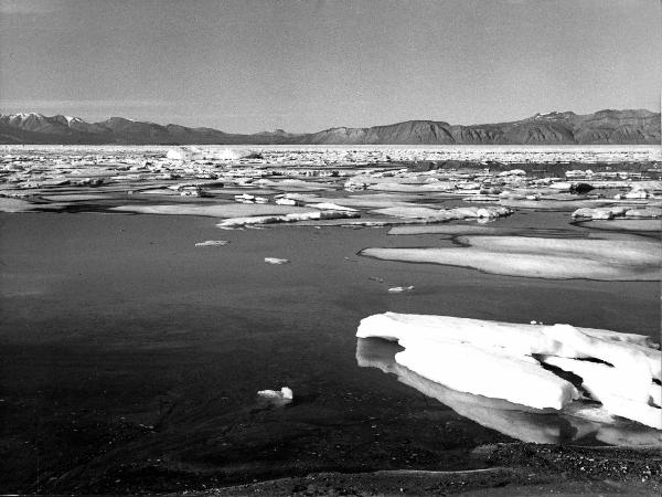 Groenlandia - Mesters Vig- riva del fiordo