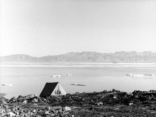 Groenlandia - Mesters Vig- riva del fiordo - tenda