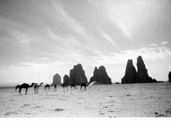 Sahara - deserto - rocce- cammelli