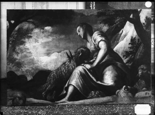 Dipinto - Psiche taglia un fiocco di lana all'ariete dal vello d'oro - S. Peranda - Mantova - Museo di Palazzo Ducale