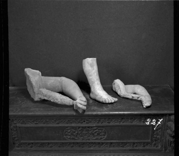 Scultura - Frammenti marmorei di statue - Mantova - Museo di Palazzo Ducale