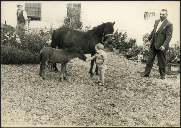 Acquanegra sul Chiese - Luigi Gerevini e bambino con cavallo e puledro