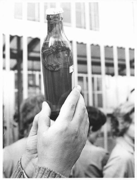Protesta dei lavoratori della Sit Siemens per una lucertola trovata in una bottiglia della mensa - Bottiglia con lucertola