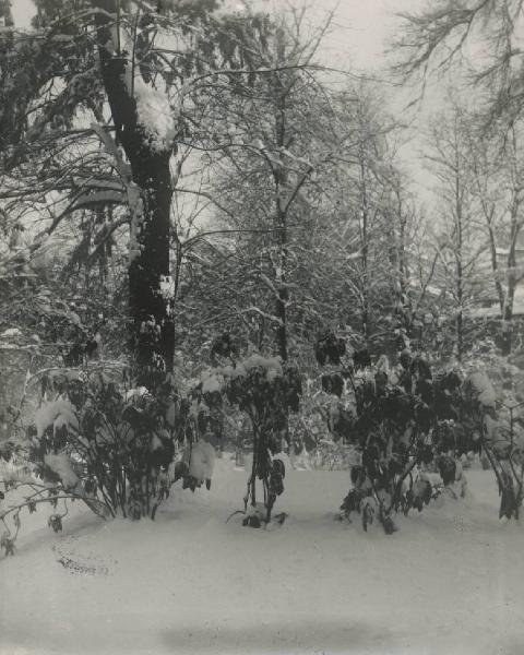 Paesaggio. Milano - Giardini della Guastalla sotto la neve