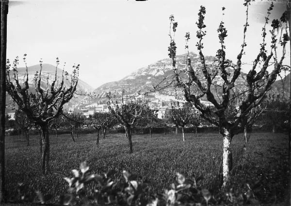 Paesaggio. Gubbio - Panorama