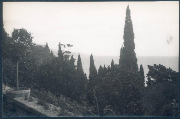 Paesaggio. Ventimiglia - La Mortola - Giardini botanici Hanbury