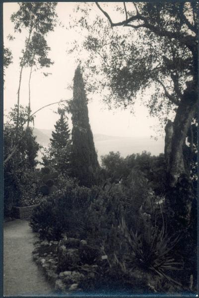 Paesaggio. Ventimiglia - La Mortola - Giardini botanici Hanbury