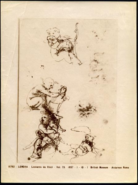Disegno - Studi per la Madonna del Gatto - Leonardo da Vinci - Londra - British Museum - 1857-1-10-1