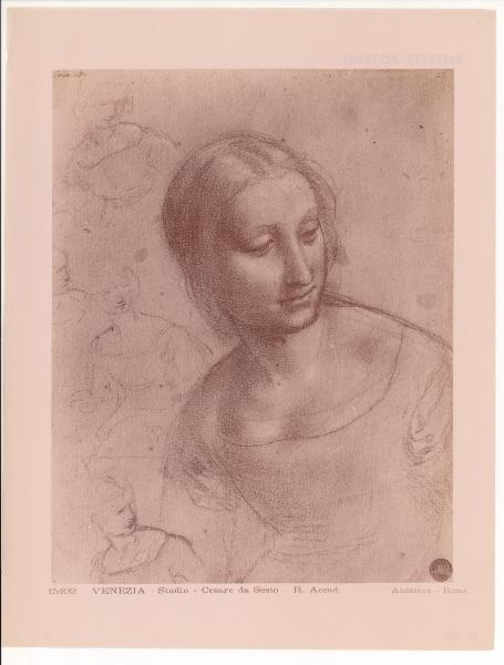 Disegno - Studio di figura femminile a mezzo busto - Cesare da Sesto - Venezia - Gallerie dell'Accademia - inv. n. 141