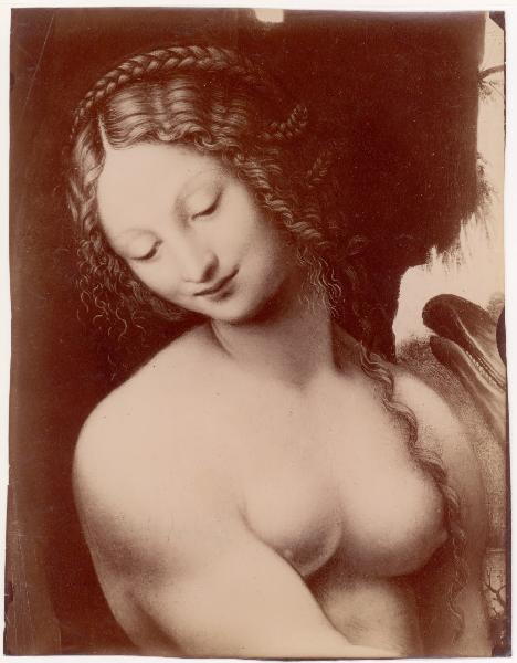 Dipinto - Leda e il cigno - Particolare - Anonimo da Leonardo da Vinci - Firenze - Galleria degli Uffizi