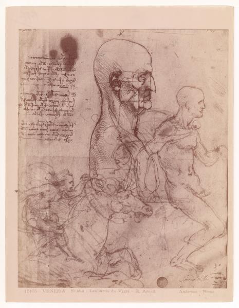 Disegno - Studi di figure maschili - Leonardo da Vinci - Venezia - Gallerie dell'Accademia - inv. 236