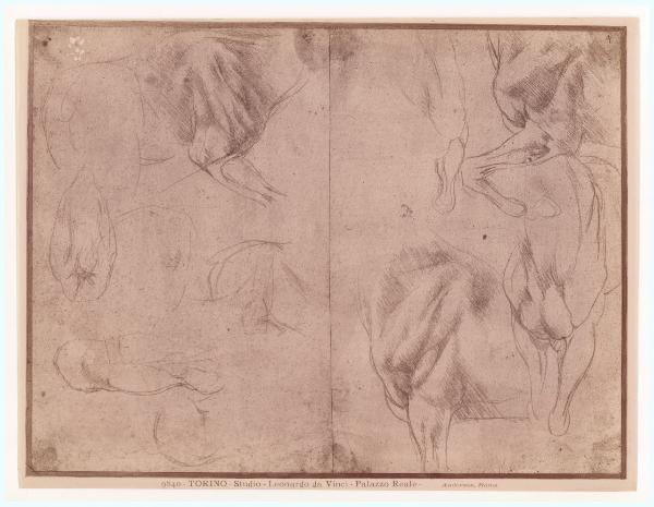 Disegno - Studio di gambe di cavallo - Leonardo da Vinci - Torino - Biblioteca Reale