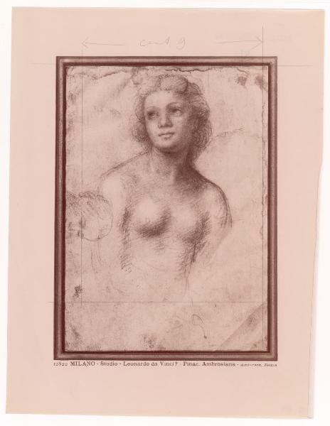 Disegno - Studio di figura femminile - Bernardino Luini - Milano - Biblioteca Ambrosiana - F 265 inf. n. 90 recto