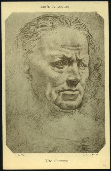 Disegno - Testa d'uomo - Giovanni Antonio Boltraffio - Parigi - Museo del Louvre - inv. 2416 recto