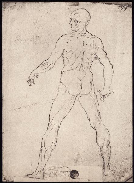 Disegno - Nudo virile di spalle con la spada - Leonardo da Vinci - Venezia - Gallerie dell'Accademia