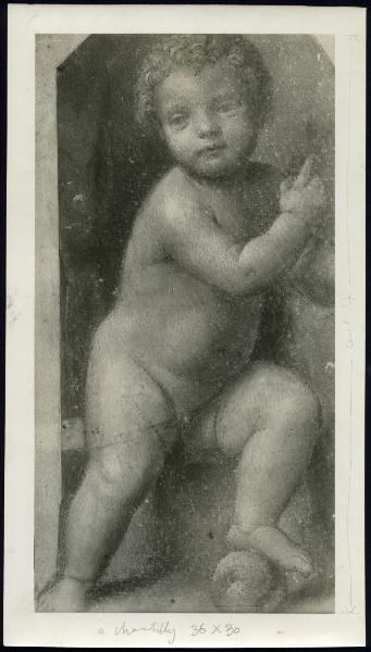 Disegno - Studio per Gesù Bambino come Cristo Salvatore - Bernardino Luini - Milano - Biblioteca Ambrosiana
