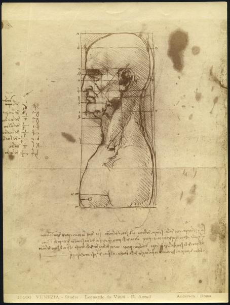 Disegno - Studio sulla fisionomia umana - Leonardo da Vinci - Venezia - Gallerie dell'Accademia