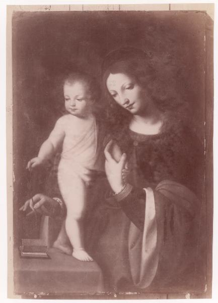 Dipinto - Madonna con Bambino - Bernardino Luini - Vienna - Collezione Czernin