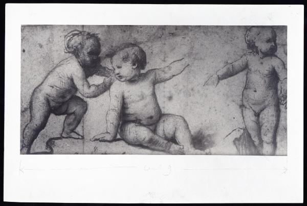 Disegno - Studio di putti - Bernardino Luini - Milano - Biblioteca Ambrosiana - cat. 859, coll. F 263 inf. n. 43