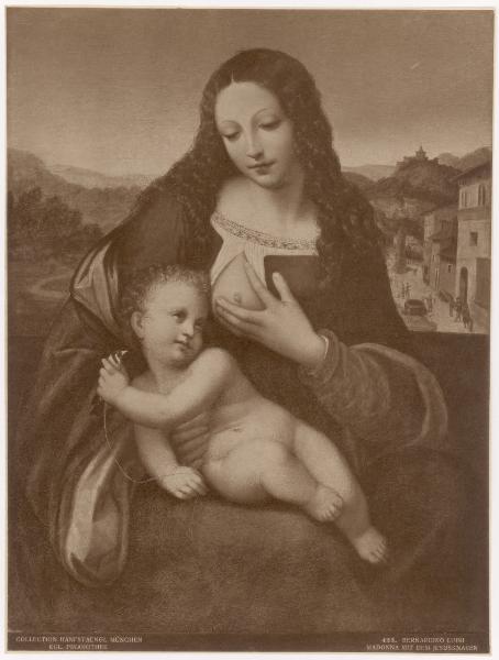Dipinto - Madonna con Bambino - Bernardino Luini - (?) - Pinacoteca Reale