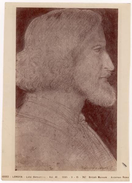 Disegno - Ritratto del pittore Biagio Arcimboldi - Bernardino Luini - Londra - British Museum