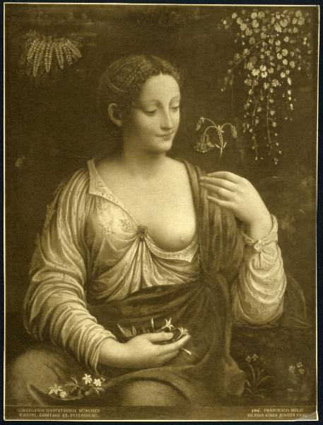 Dipinto - Flora - Colombina - Francesco Melzi - San Pietroburgo - Museo dell'Ermitage