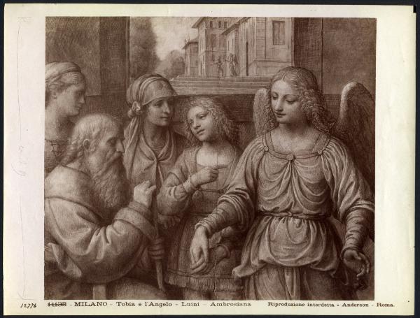 Disegno - Arcangelo Raffaele, Tobia e Tobiolo - Bernardino Luini - Milano - Pinacoteca Ambrosiana
