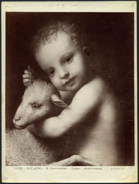 Dipinto - Gesù Bambino con agnello - Bernardino Luini - Milano - Pinacoteca Ambrosiana