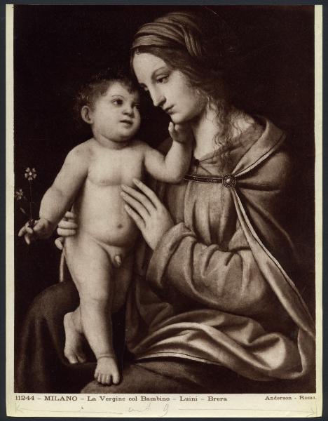 Dipinto - Madonna Oggioni - Bernardino Luini - Milano - Castello Sforzesco - Pinacoteca