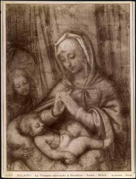 Disegno - Madonna con Bambino e angelo - Bernardino Luini - Milano - Pinacoteca di Brera