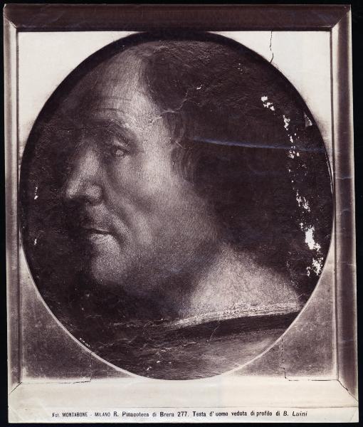 Dipinto murale - Testa d'uomo di profilo - Bernardino Luini - Milano - Pinacoteca di Brera (da Milano - Chiesa di S. Marta)